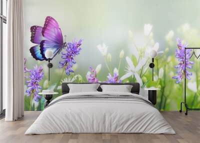 Purple butterfly on wild white violet flowers in grass in rays of sunlight, macro. Spring summer fresh artistic image of beauty morning nature. Selective soft focus. Wall mural