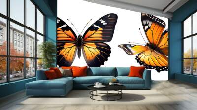 Set of very beautiful yellow orange butterflies with color transitions isolated on a transparent background.  Wall mural