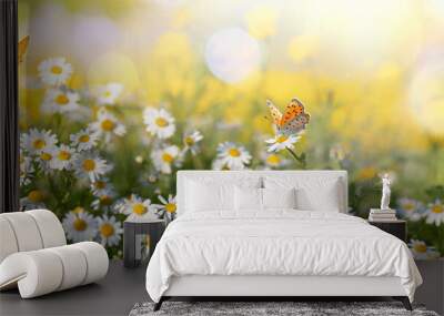 Sunlit field of daisies with fluttering butterflies. Chamomile flowers on a summer meadow in nature, panoramic landscape. Wall mural