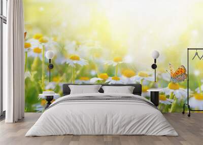 Sunlit field of daisies with fluttering butterflies. Chamomile flowers on a summer meadow in nature, panoramic landscape. Wall mural