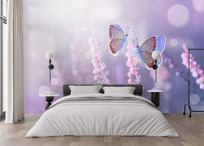 Two lilac butterfly on Lavender flowers in rays of summer sunlight in spring outdoors macro in wildlife, soft focus. Delightful  amazing atmospheric artistic image of beauty of nature environment. Wall mural