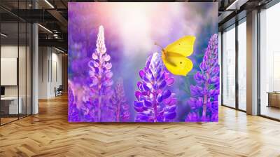 Yellow butterfly among purple lupine flowers with beautiful atmospheric lighting on bright spring summer sunny day in nature, macro. Wall mural