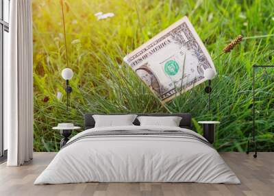 One American old dollar on a background of green grass Wall mural