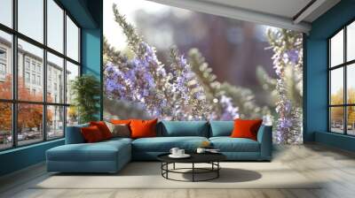 Rosemary horizontal back lit 2 Wall mural