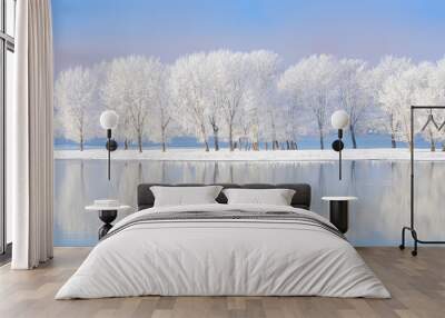 winter trees covered with frost Wall mural