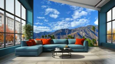 Palm Springs Pano Wall mural