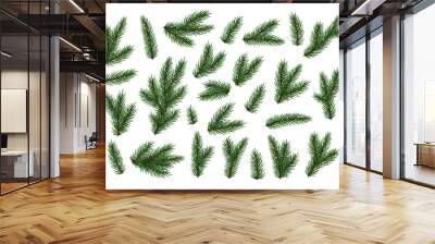 Pine fir branches. Spruce branches realistic. Christmas tree Set isolated on white background. Decorative design elements. Decoration Natural objects. Xmas decor. Vector illustration Wall mural