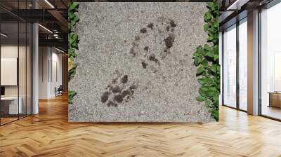 Man's Muddy Shoe Print on Concrete Wall mural