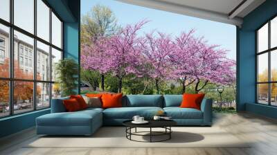 Row of Purple Flowering Red Bud Trees Wall mural