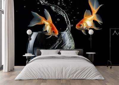 A mid shot of 2 glass fish bowls. We can see an orange gold fish jumping out a small glass fish bowl and into a second much larger fish bowl. On a black studio background. Wall mural