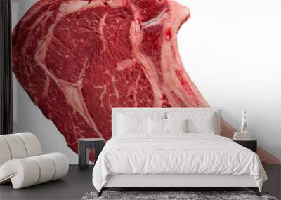 A Raw Ribeyes Steak - Ready to use PNG Cutout Isolated Image Wall mural