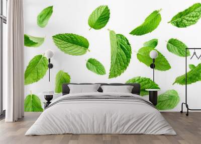 peppermint leaves, transparent background Wall mural