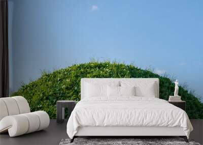 3D render of green grass hill with small flowers and a blue sky. Wall mural