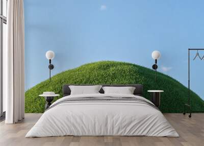 3D render of green grass hill with small flowers and a blue sky. Wall mural