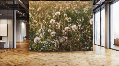 grass and flowers Wall mural