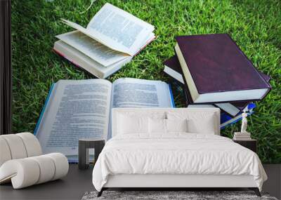 Open book and pile of closed books on the grass Wall mural