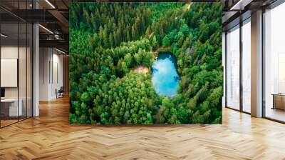 Blue lake in the middle of green forest, aerial view. Wild colorful lake in mountain park in Poland. Beautiful nature landscape Wall mural