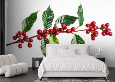 Branch of coffee plant with ripe red coffee cherries isolated on transparent background Wall mural