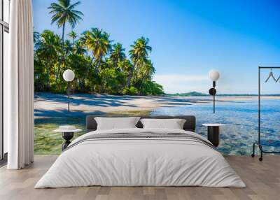 Bright scenic view of an empty, palm-fringed tropical beach in northeast Bahia, Brazil Wall mural