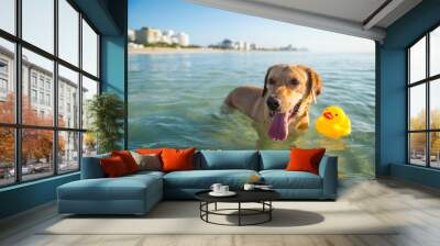 Happy yellow Labrador dog wading with a rubber ducky in calm shallow waters at the beach Wall mural