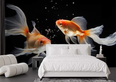 goldfish in water Wall mural