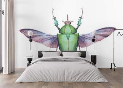 Watercolor green beetle illustration. Hand drawn bug with wings isolated on white background. Natural print design Wall mural