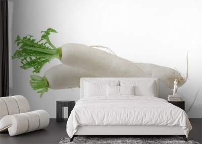 Daikon White Radish Wall mural