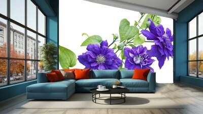 Purple clematis Flower Wall mural