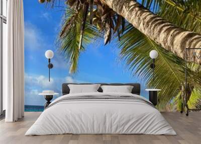 Seychelles beach with palm trees Wall mural