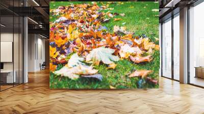 close up picture of autumn colours, autumn leaves. bright red, orange and yellow colours representin Wall mural