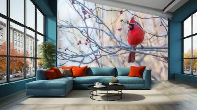 Closeup of a male northern cardinal. Wall mural