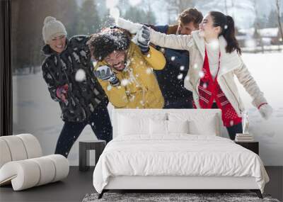 Friends enjoying snowball fight Wall mural