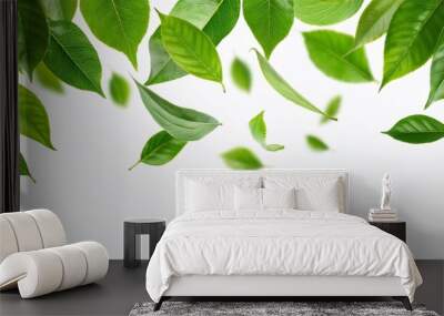 falling green leaves isolated on white background Wall mural