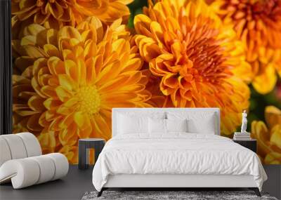 Autumn Mums or Chrysanthemums in bloom Wall mural