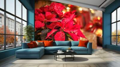 Christmas Star, a red Poinsettia flower with decorative snowflakes on leaves against festive holiday background Wall mural