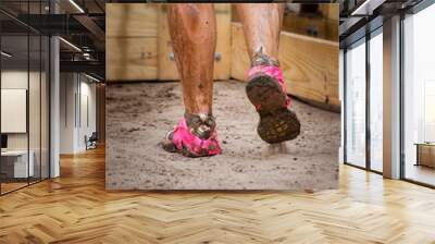 Mud race runner's muddy feet Wall mural