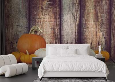 Pie pumpkin and mini pumpkins in a row against rustic wooden background Wall mural