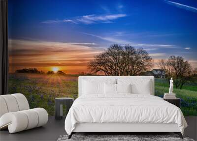 texas bluebonnet wildflower spring field at sunrise Wall mural