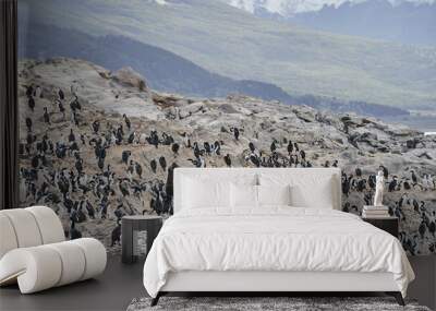 A colony of penguins and two seals on rocky terrain, with snow-covered mountains and a cloudy sky in the background, showcasing Ushuaia’s wildlife Wall mural