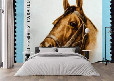 Horse, Equus ferus caballus (Albania 1966) Wall mural