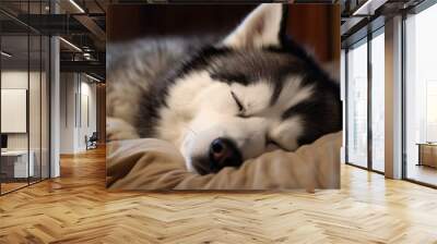 husky dog sleeping indoors, resting sled dog pet portrait, ai generated Wall mural