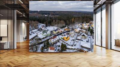 Grillenburg im Winter Wall mural