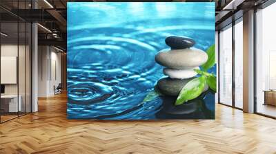 Balanced stones in water Wall mural