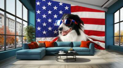 Beautiful border collie in front of a USA flag with sunglasses Wall mural