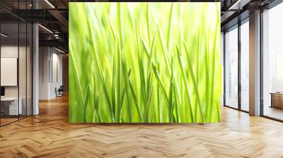 Bright green grass Wall mural