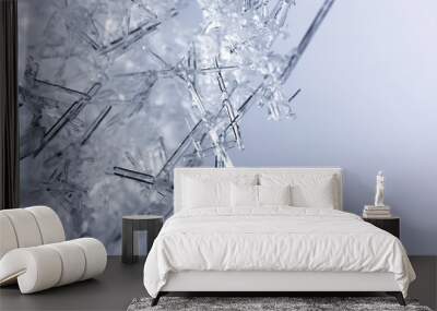 Closeup of ice crystals Wall mural