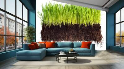 Green grass Wall mural