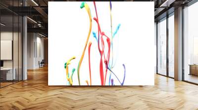 Paint splash Wall mural