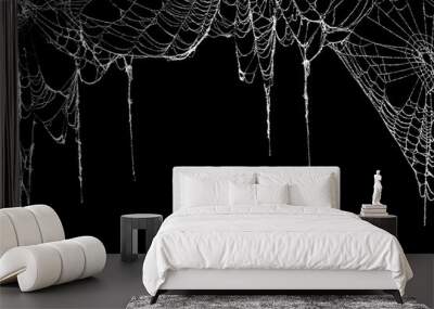 Real creepy spider webs hanging on black banner as a top border Wall mural