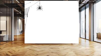 Real creepy spider webs on white banner with tarantulas hanging from the webs Wall mural